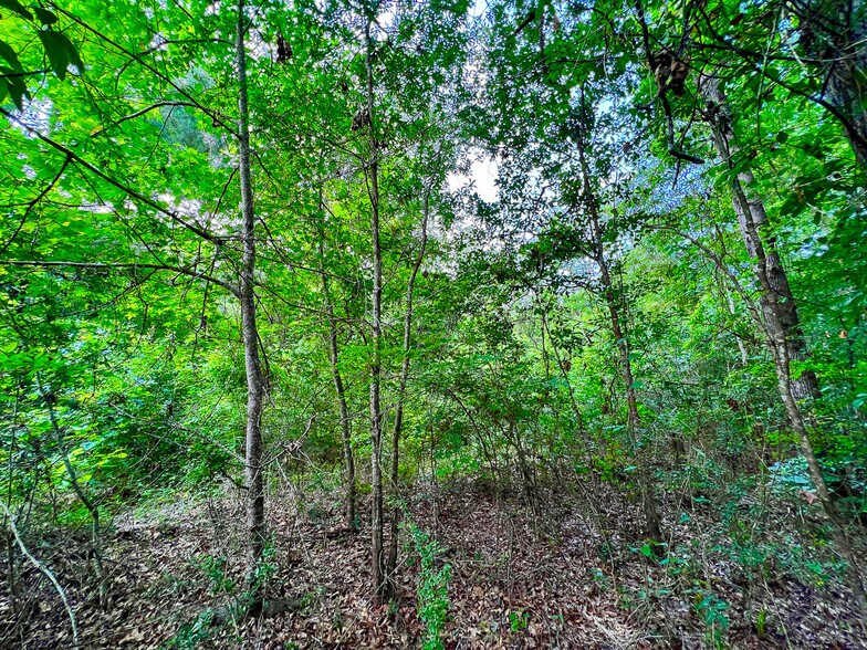 More Photos Of 2700 Ford Chapel, Lufkin Land For Sale