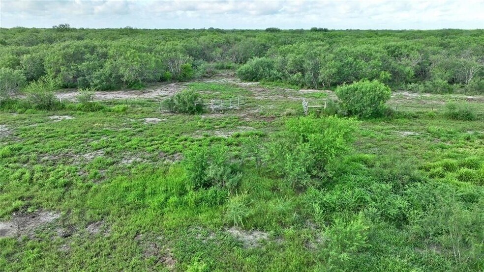 More Photos Of CR 2170, Ricardo Land For Sale