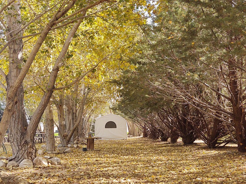 More Photos Of 7990 Highway 264, Dyer Trailer Camper Park For Sale