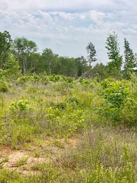 More Photos Of TBD County Road 336, Tyler Land For Sale