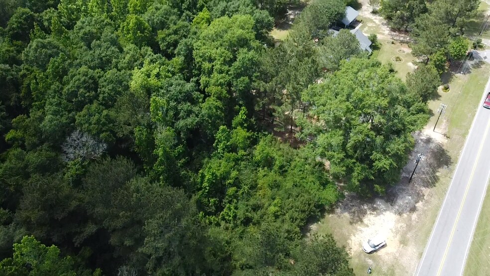 More Photos Of 23940 Co Rd 47 Rd, Perdido Land For Sale