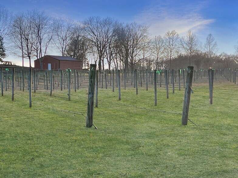 More Photos Of 2982 Harvey Bowden Rd, Paris Winery Vineyard For Sale
