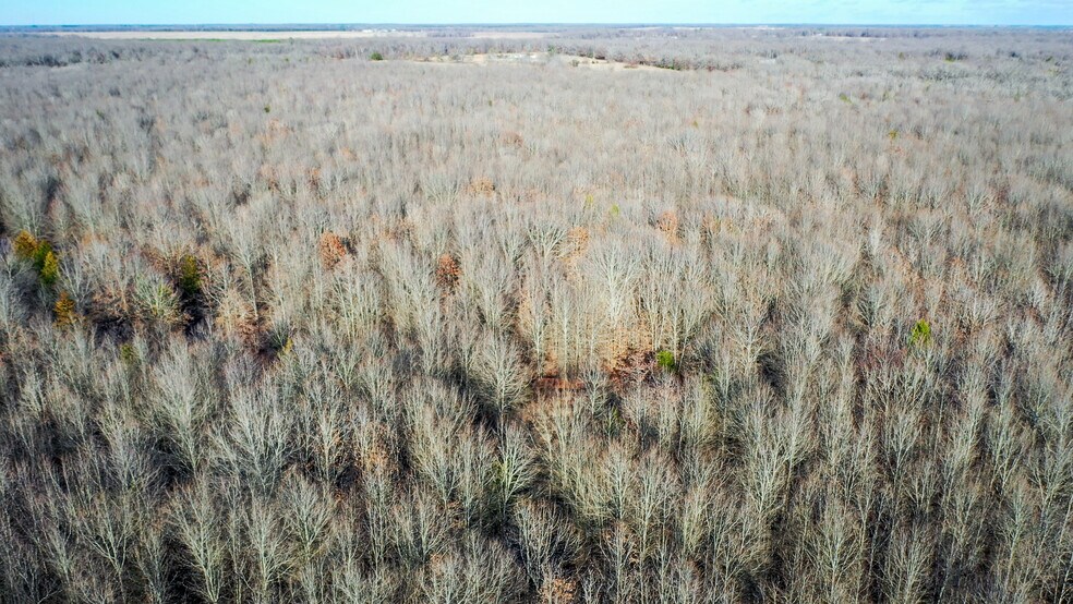 More Photos Of 1200 County 1255 rd, Detroit Land For Sale