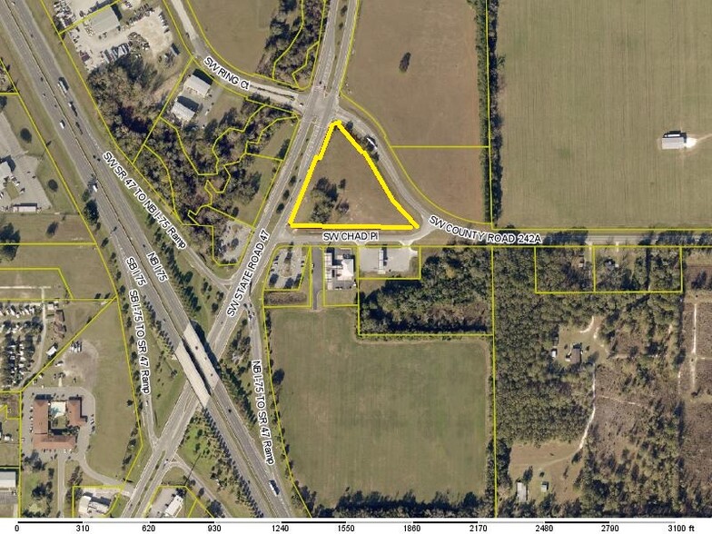 Primary Photo Of SR-47 @ SW CR-242A, Lake City Land For Sale