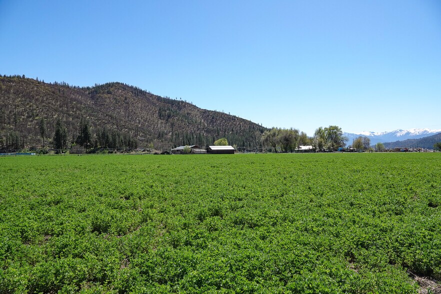 More Photos Of 13317 McAdams Creek Rd, Fort Jones Land For Sale