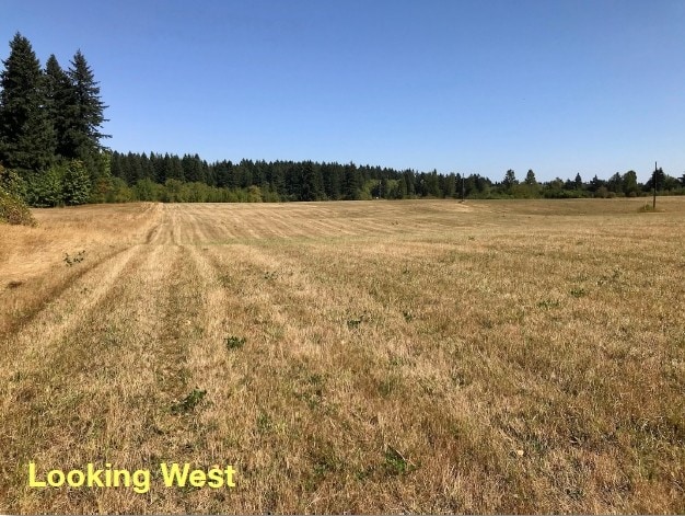 More Photos Of 16713 NE 50th Ave, Vancouver Land For Sale