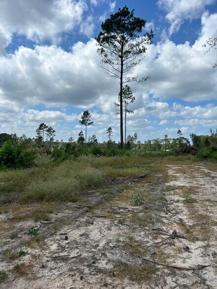 More Photos Of TBD CR 3665 Queen City Texas 20 Acres, Queen City Land For Sale