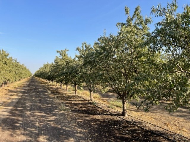 More Photos Of N/E Corner Avenue 228 & Road 56, Tulare Land For Sale