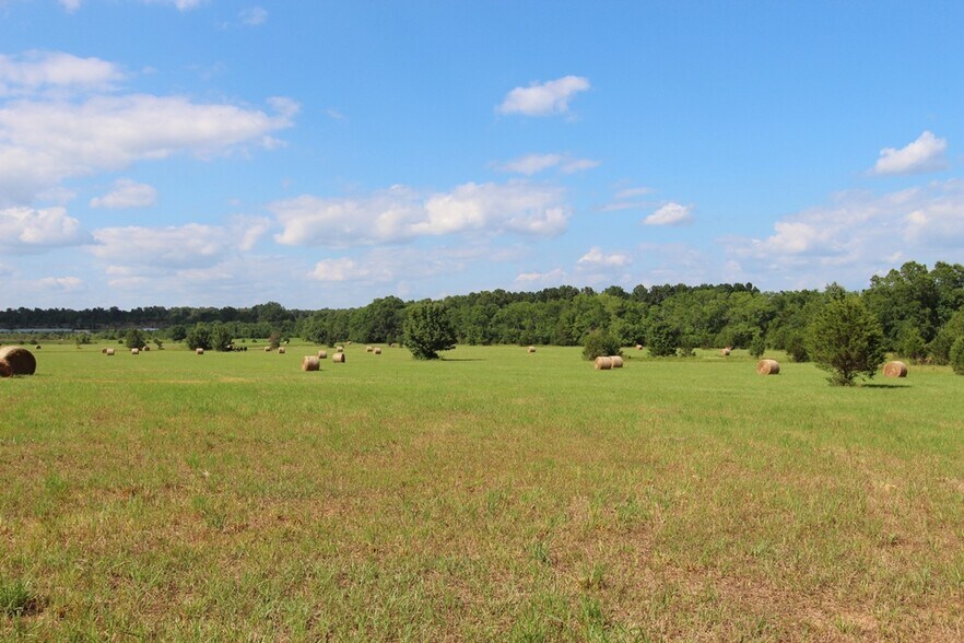 More Photos Of 278 Highway 64 E, Conway Land For Sale