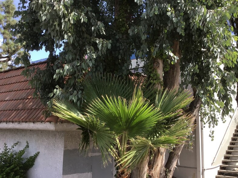 More Photos Of 100 N Tustin Ave, Anaheim General Retail For Sale