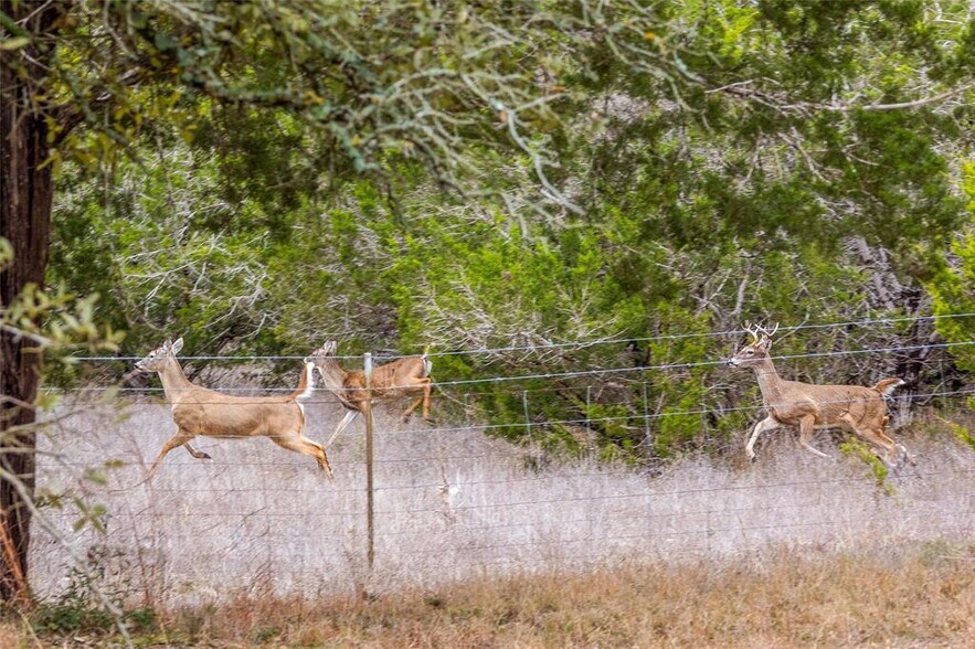 More Photos Of 1800 E Highway 290, Dripping Springs Land For Sale