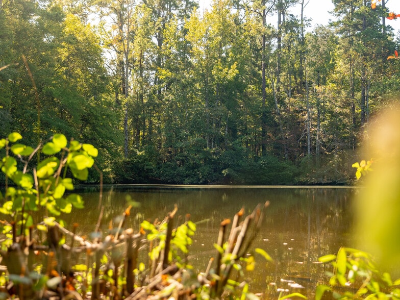 More Photos Of 00 Nash Mill Extension rd, Fountain Inn Land For Sale