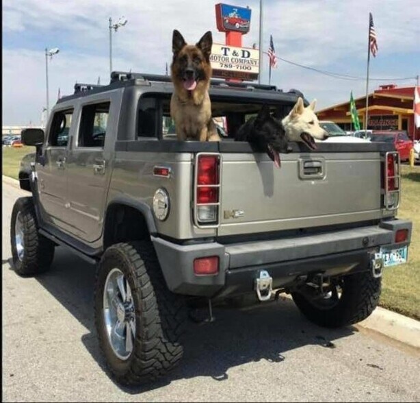 More Photos Of 7145 NW 39th Expy, Bethany Auto Dealership For Sale