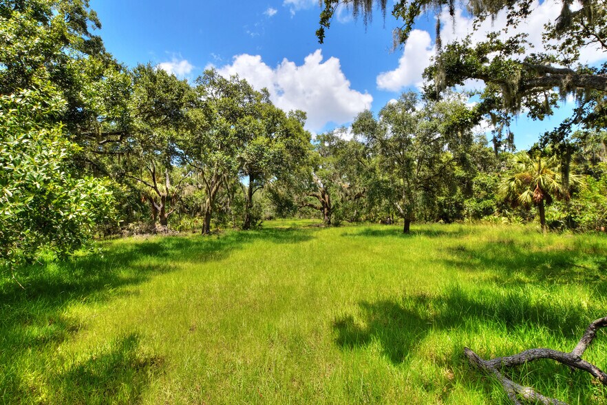 More Photos Of 6838 Mary Lou Dr, Riverview Land For Sale