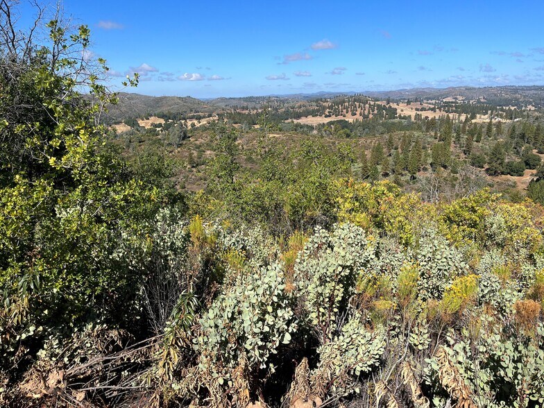 More Photos Of 7559 Alamo Rd, Mountain Ranch Land For Sale