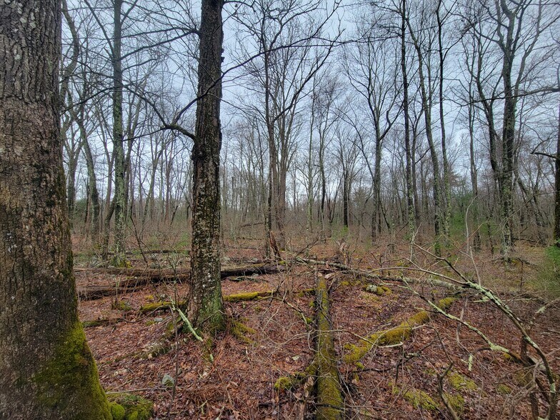 More Photos Of Pennsylvania 739, Dingmans Ferry Land For Sale