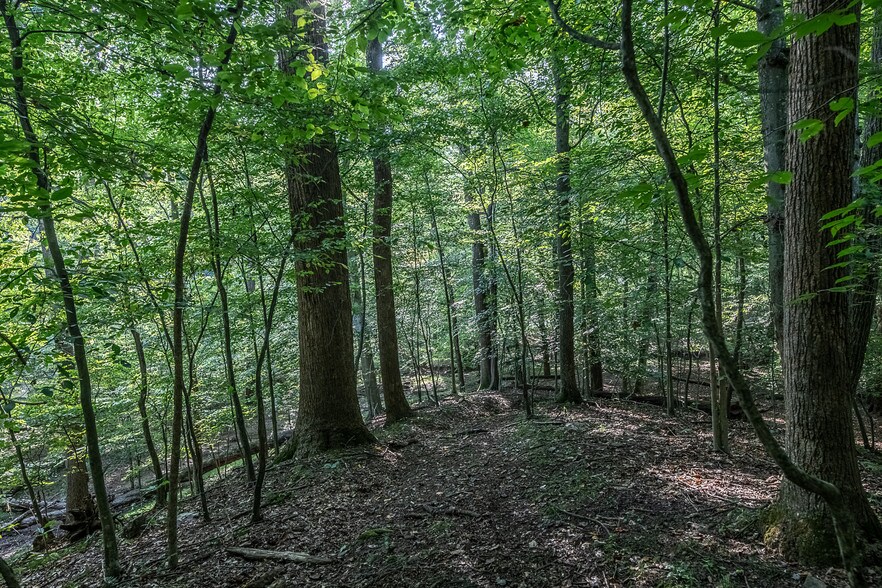 More Photos Of 8751 Birmingham Dr, Manassas Park Land For Sale