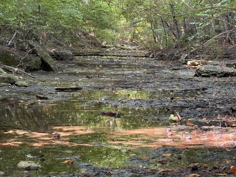 More Photos Of Walnut Hill Ln. (36.31+/- Acres), Elsberry Land For Sale