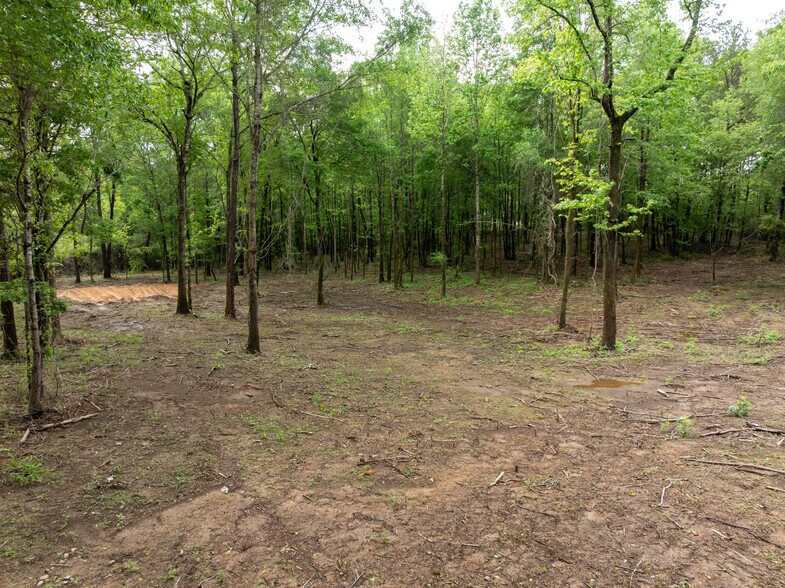 More Photos Of 899 US Highway 31, Warrior Land For Sale