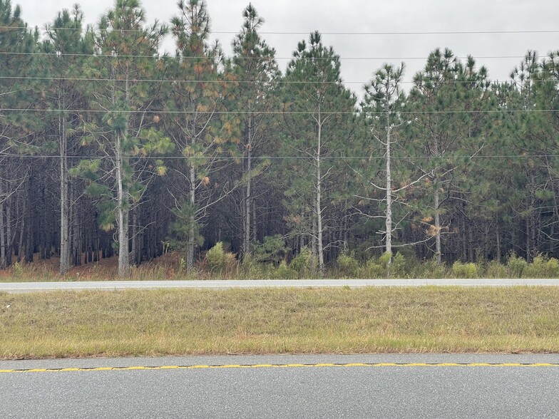 Primary Photo Of U.S. 341, Fort Valley Land For Sale