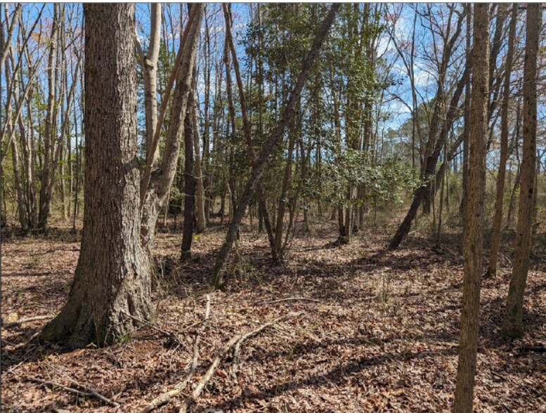 More Photos Of 0 Old Eden Rd, Eden Land For Sale