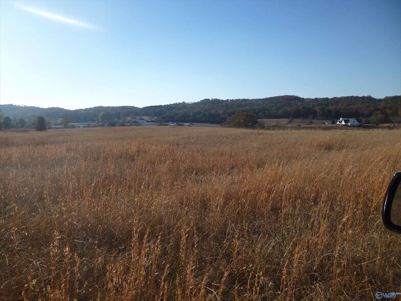 More Photos Of 5504 Martin Ave NE, Fort Payne Land For Sale