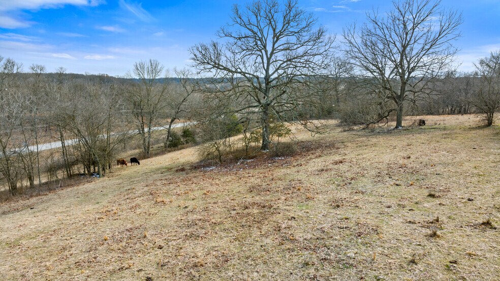 More Photos Of 17430 State HWY 0, Stark City Land For Sale