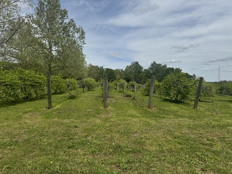 More Photos Of 2982 Harvey Bowden Rd, Paris Winery Vineyard For Sale
