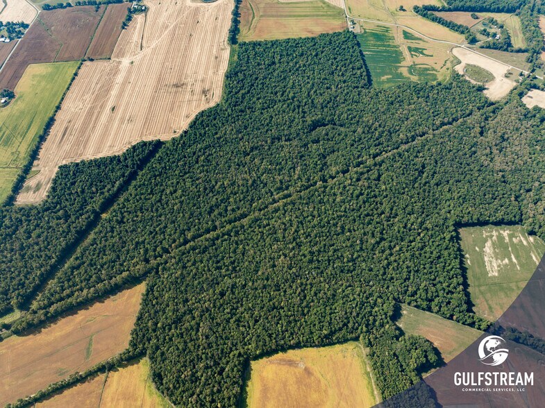 Primary Photo Of 5675 Millers Mill rd, Philpot Land For Sale