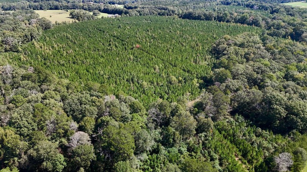 Primary Photo Of 00 COUNTY LINE ROAD, Summit Land For Sale