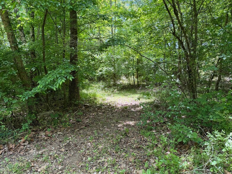 More Photos Of 1593 Old Alabama rd, Taylorsville Land For Sale