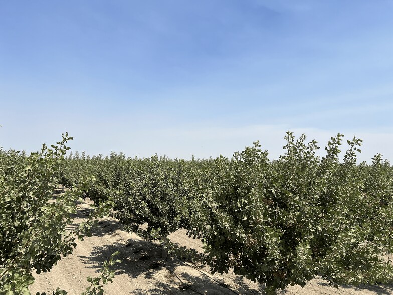 More Photos Of Idaho Ave @ 5th Avenue, Hanford Land For Sale