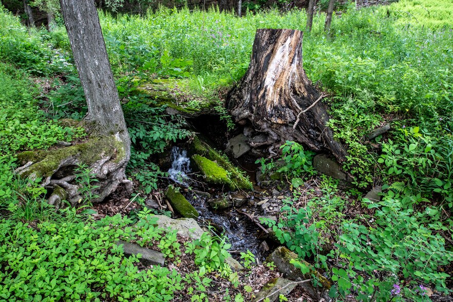 More Photos Of 345 Dorr Edson Rd, Oneonta Apartments For Sale