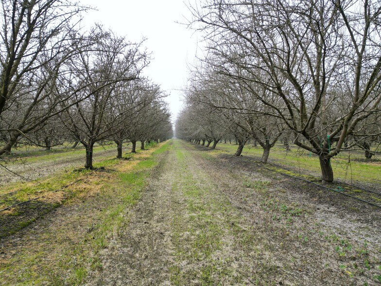 Primary Photo Of 8350 17 1/2 Avenue, Lemoore Land For Sale