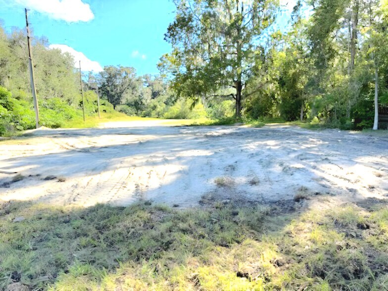 More Photos Of 10366 SE US Highway 441, Belleview Land For Sale