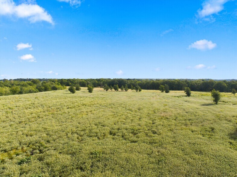 More Photos Of 1010 Mt Moriah rd, Riesel Land For Sale