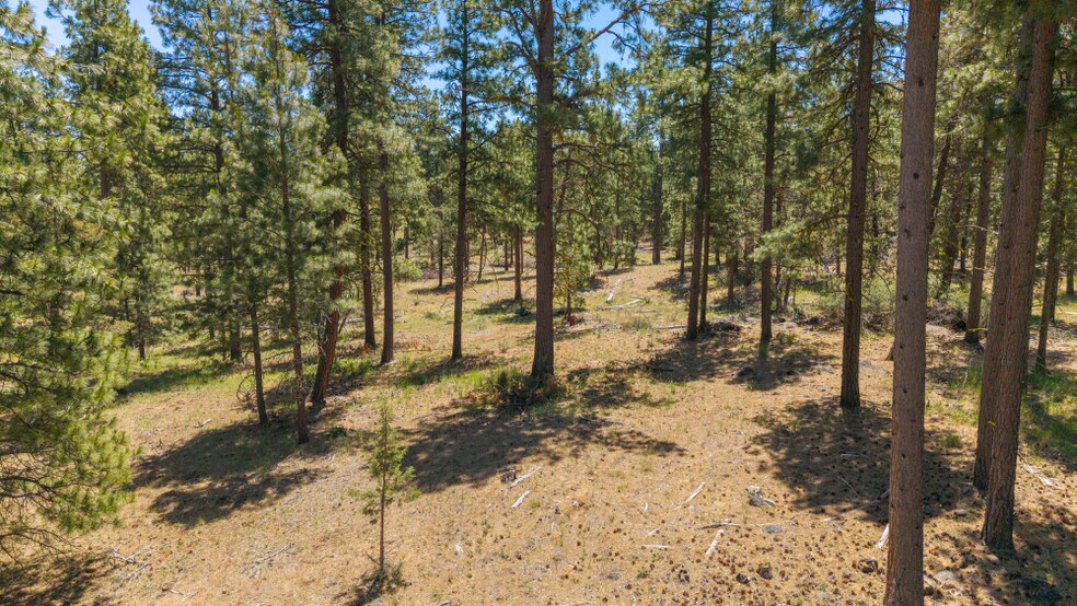 More Photos Of 0 Blue Wing Street, Keno Land For Sale