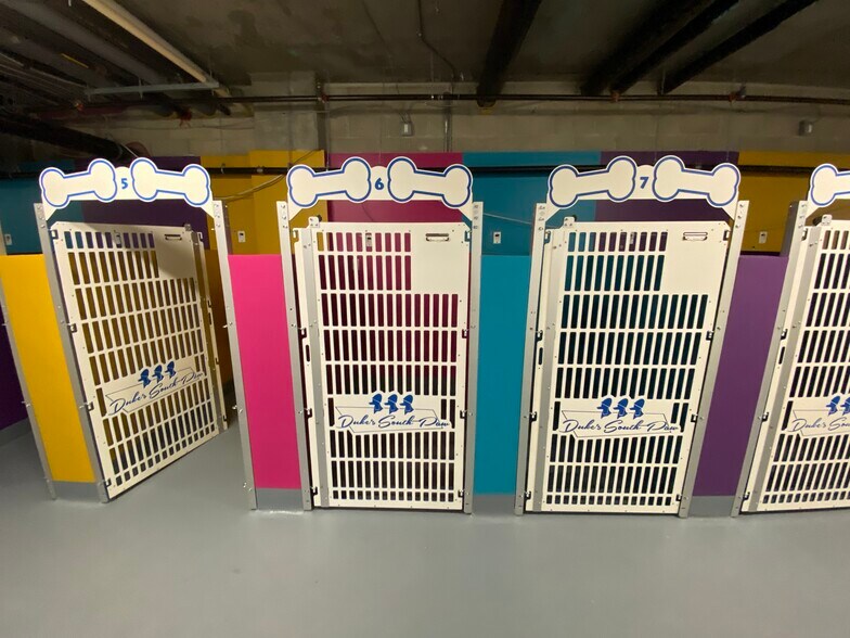 More Photos Of 1243 S Olive St, Los Angeles Apartments For Lease