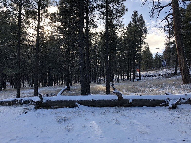 More Photos Of 800 N Switzer Canyon Dr, Flagstaff Land For Sale