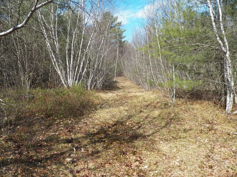 More Photos Of 988 Dover Rd, Epsom Land For Sale