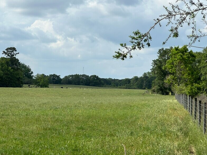 More Photos Of Millside Road, Laurel Hill Land For Sale