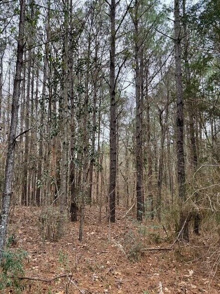 More Photos Of 00 Maypop Ln, Meadville Land For Sale