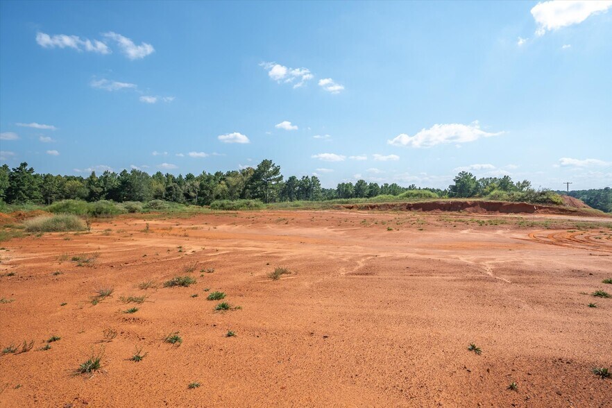 More Photos Of 18021 State Highway 155 S hwy, Flint Land For Sale