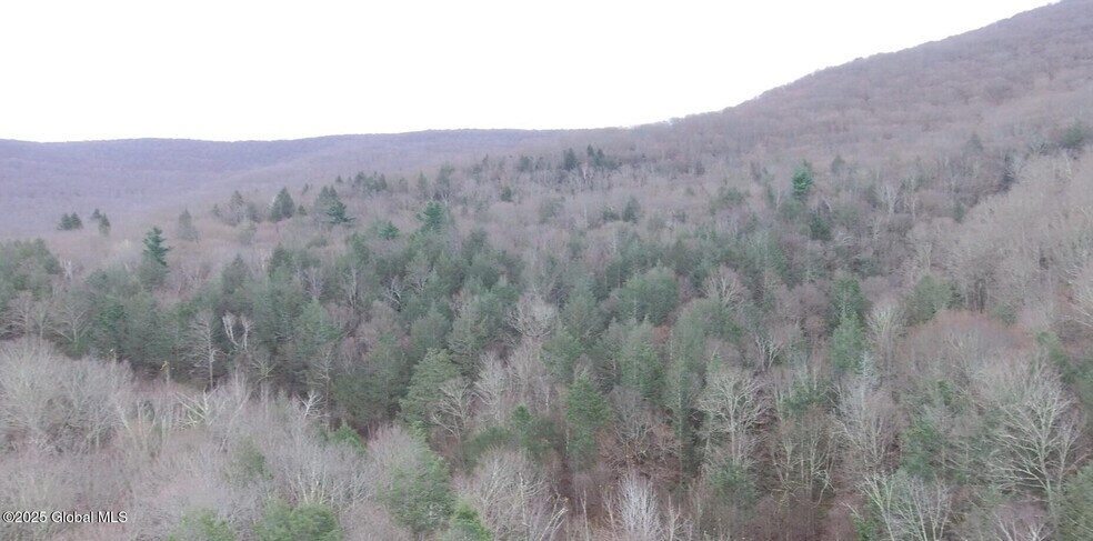 More Photos Of Mt Eden Estates Rd, Lexington Land For Sale