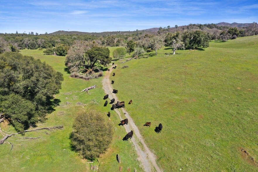 More Photos Of 1229 Murray Creek, San Andreas Land For Sale
