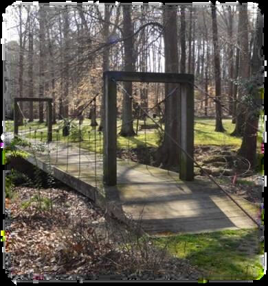 More Photos Of 113 Edinburgh Dr S, Cary Office For Lease