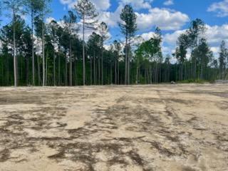 More Photos Of TBD Courthouse Rd, Sutherland Land For Sale