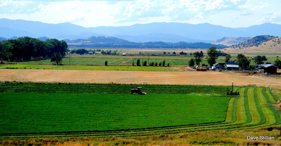 More Photos Of 3104 Harry Cash Rd, Montague Land For Sale