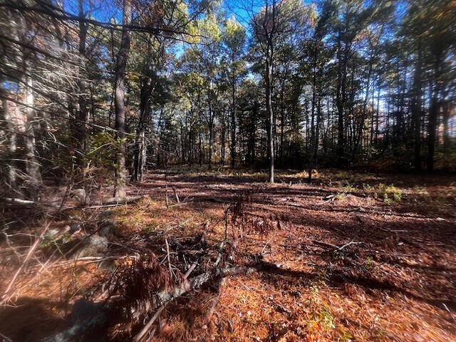 Primary Photo Of 0 Braley Road, East Freetown Land For Sale