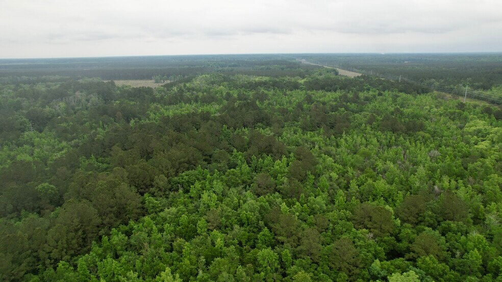 More Photos Of , Reevesville Land For Sale